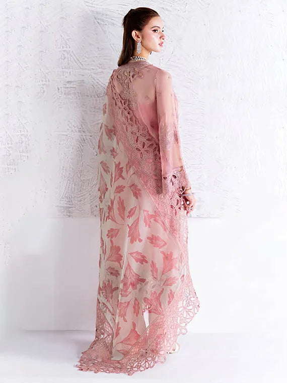 Arzoo by Ramsha Luxe Chiffon Collection 2025 Vol-02 (U-203)