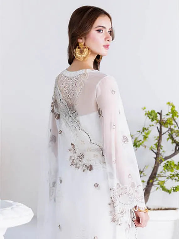 Arzoo by Ramsha Luxe Chiffon Collection 2025 Vol-02 (U-205)