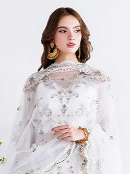 Arzoo by Ramsha Luxe Chiffon Collection 2025 Vol-02 (U-205)