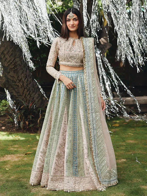 Dastangoi by Afrozeh Exclusive Organza Collection 2025 (PETALHOUR)