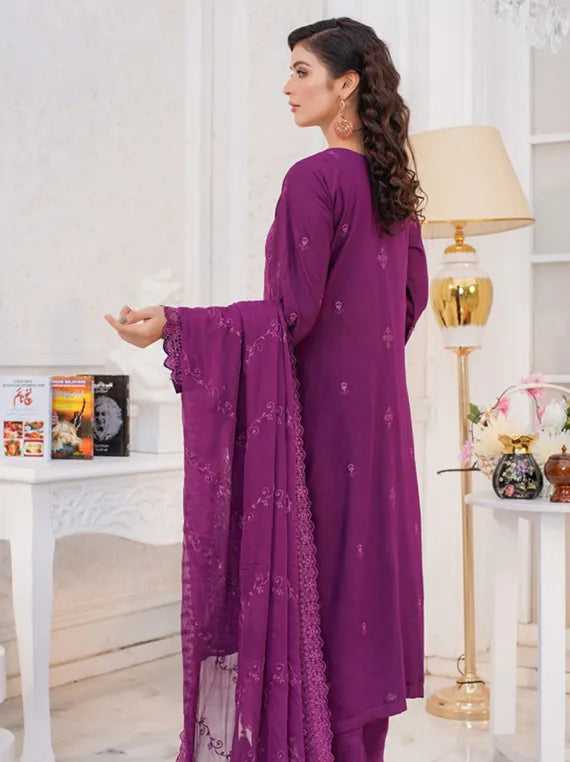 Manzel Chikenkari Karandi Collection 2025 By Manizay (M-08)