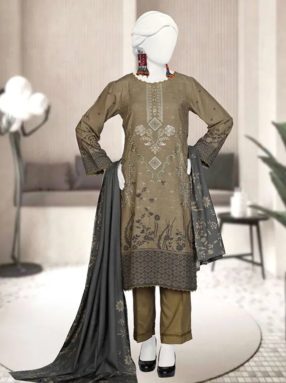 Mehru Embroidered Linen Collection 2025 by ABC (D-01)