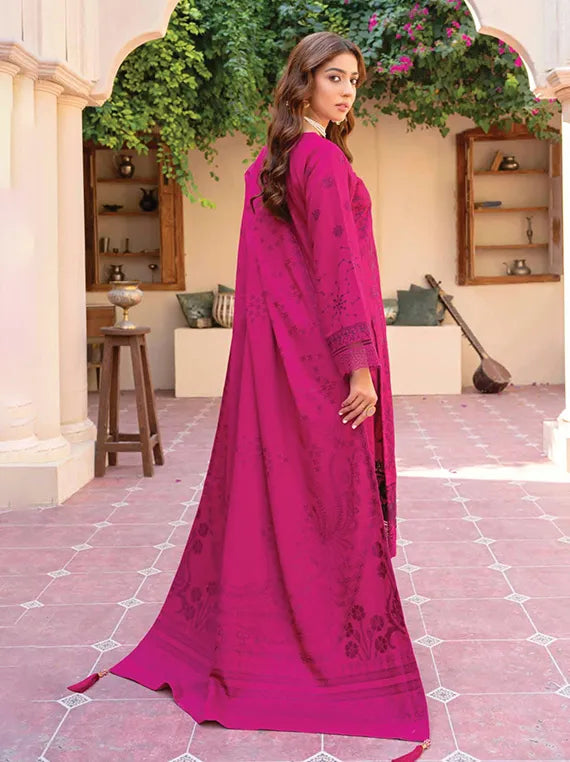 Noor E Chasham Embroidered Dhanak Collection 2024 By Riaz Arts (D-04)