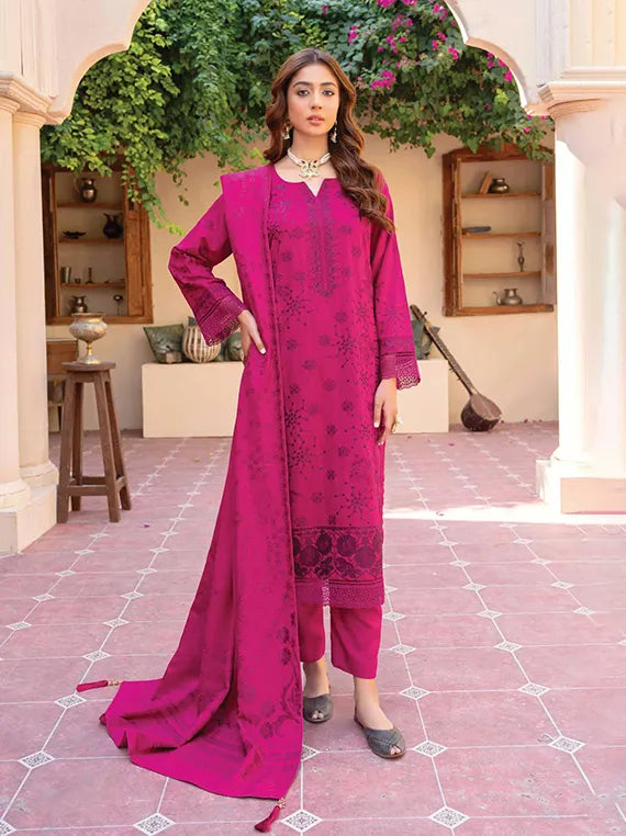 Noor E Chasham Embroidered Dhanak Collection 2024 By Riaz Arts (D-04)