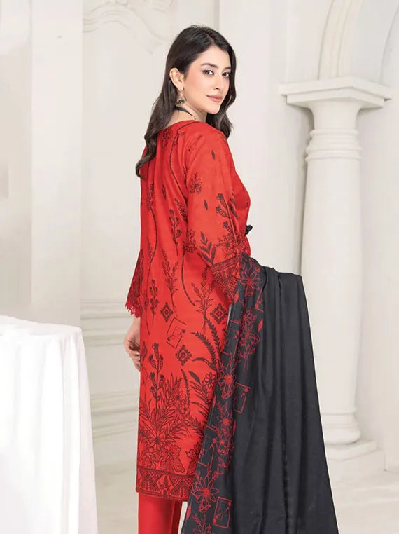 Noor E Jahan Dhanak Collection 2024 By Rang Riaz (D-09)