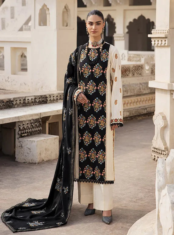 Rajbari Premium Winter Shawl Collection 2024 (3A)