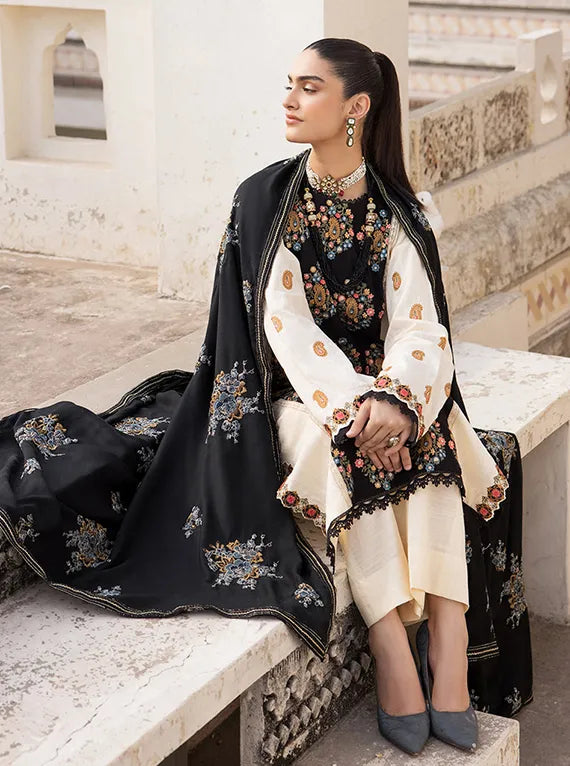 Rajbari Premium Winter Shawl Collection 2024 (3A)