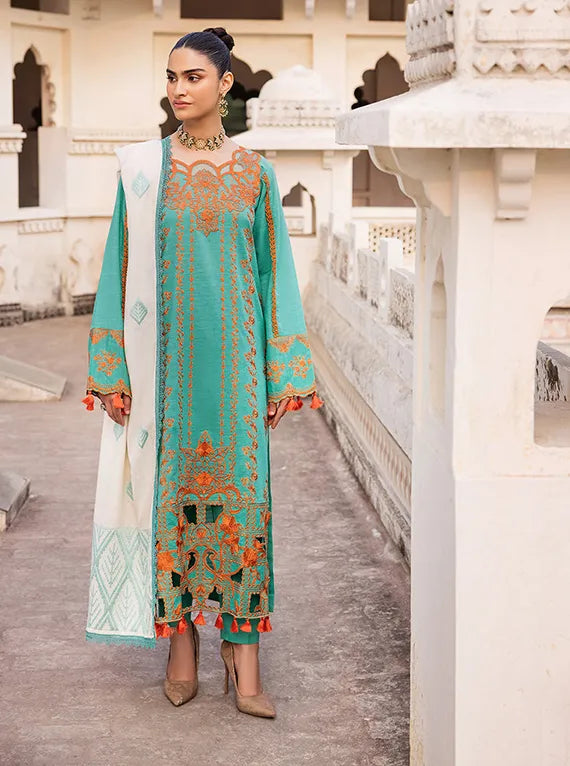 Rajbari Premium Winter Shawl Collection 2024 (5B)