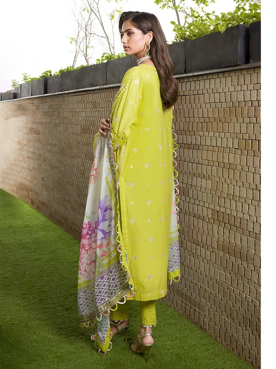 ZELLBURY Chikankari Winter Cotton Collection 2025 (WUC25E30081)