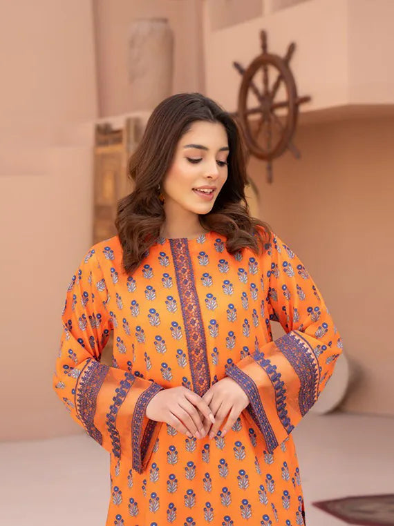2 Piece Printed Embroidered Collection 2025 By Sitara Studio (LDS 1029)