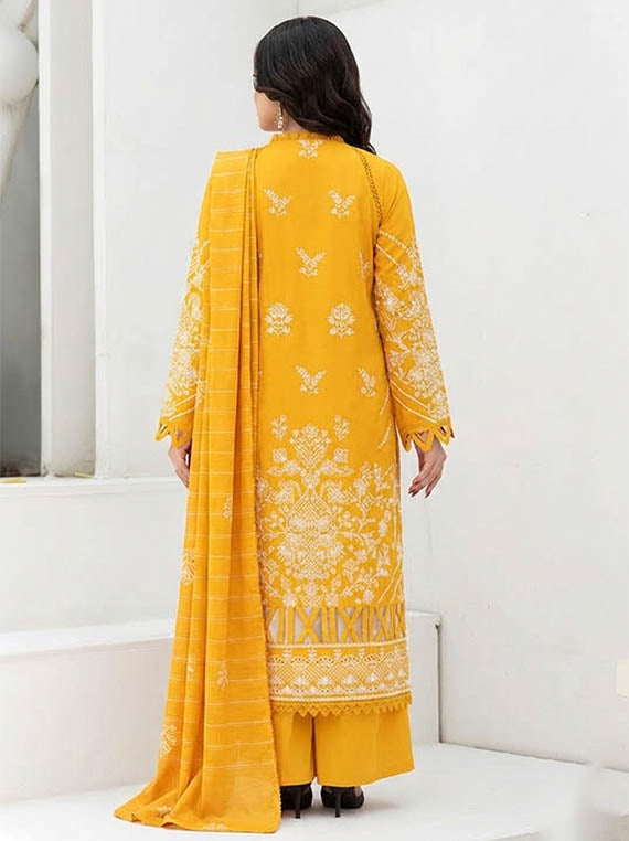 Women's Winter Collection 2026 (Fantak D-01)