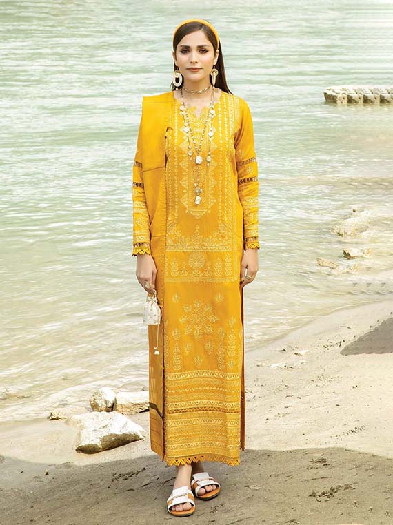 Premium Winter Wear Collection 2026 (Johra JH-64)