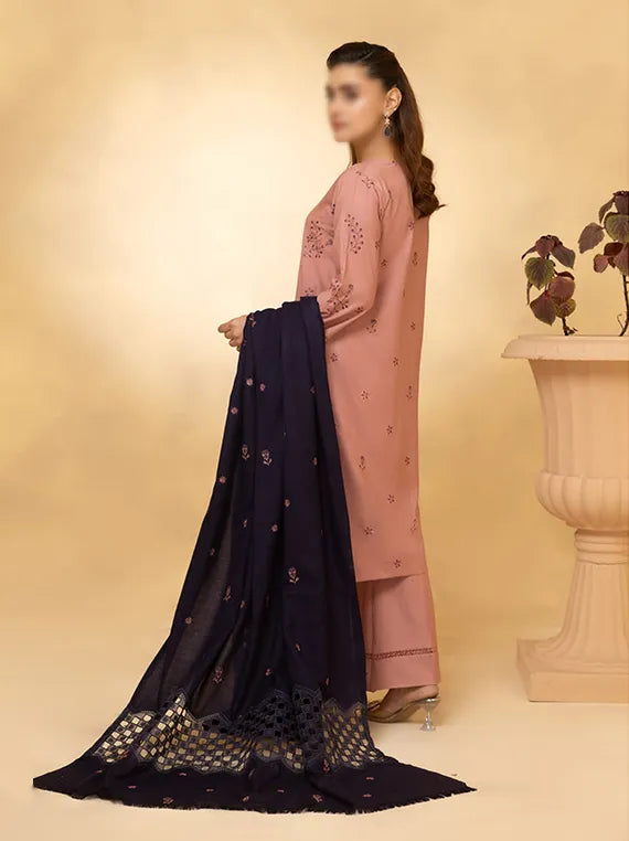 ANDAAZ by Fantak Embroidered Dhanak Collection 2025 Vol-02 (D-03)