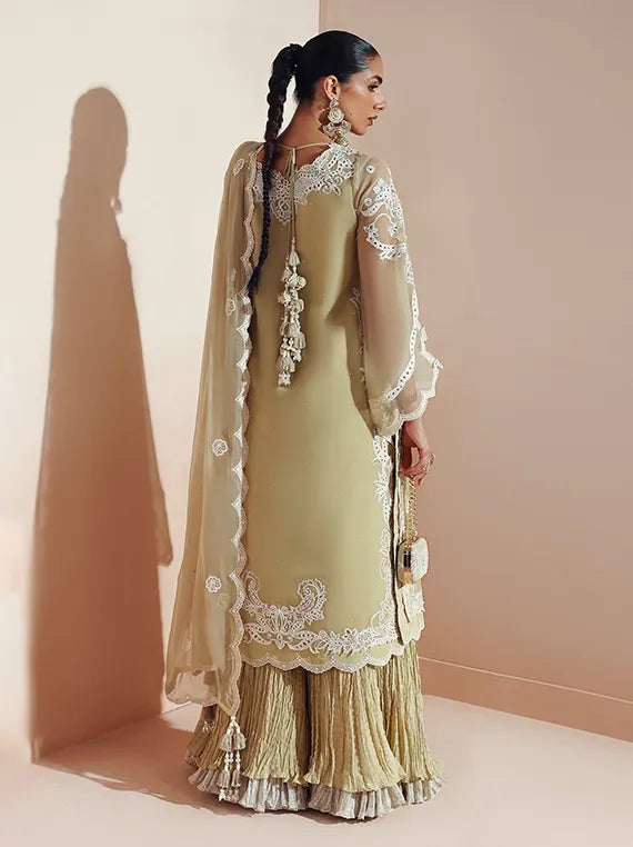 AYMAL by Alizeh Embroidered Chiffon Collection 2026 (2207-ALIHA)