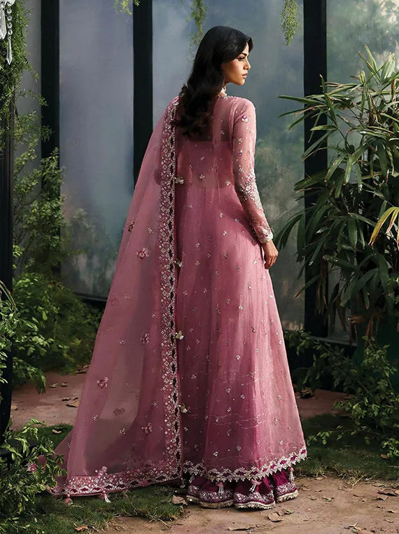 Afrozeh La Fuchsia Festive Collection 2025 (ALF-25-V1-01-SERAIRA)