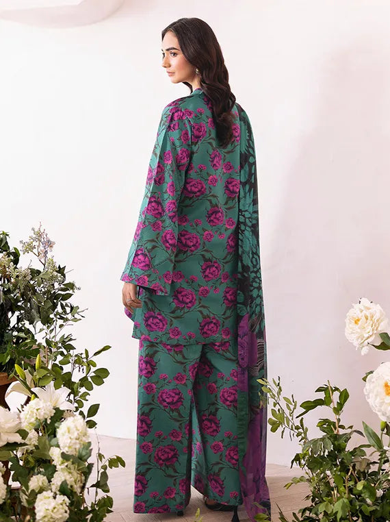 Afsanah Basics Raw Silk Collection 2025 (AR-201)
