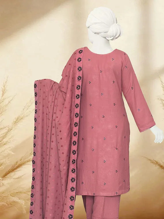 Amara Embroidered Dhanak Slub Collection 2025 By ABC (ABC-1303)