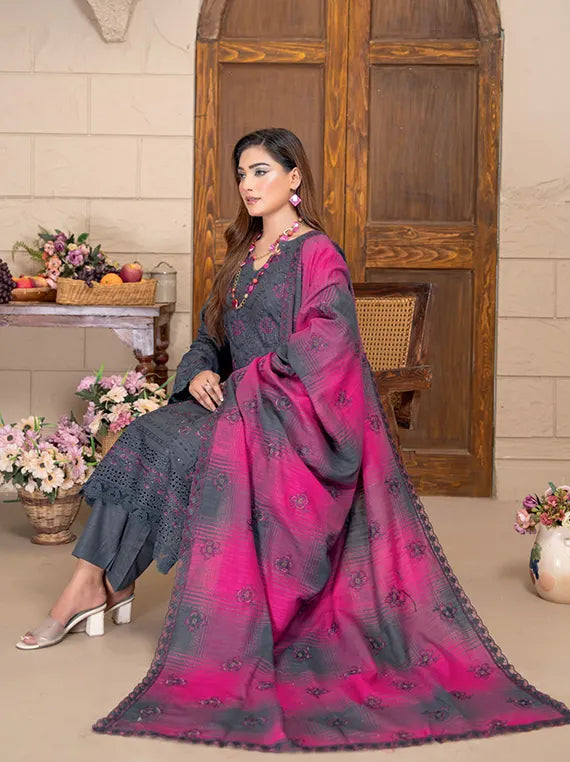 Anmol Dyed Yarn Winter Slub EMB Collection 2025 by Riaz Arts (D-01)