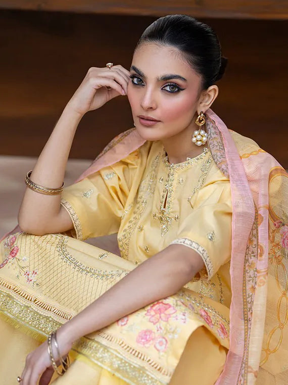 Arty 3PC Embroidered Lawn Collection 2025 by Sitara Textile (D-02)