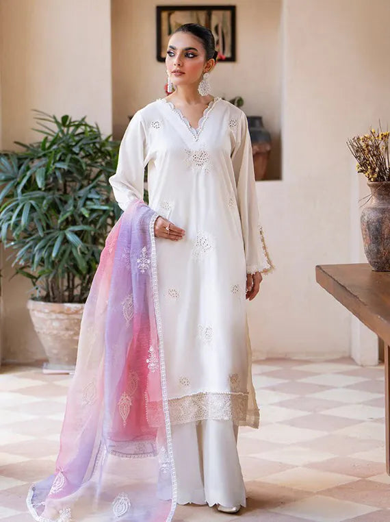 Arty 3PC Embroidered Lawn Collection 2025 by Sitara Textile (D-03)