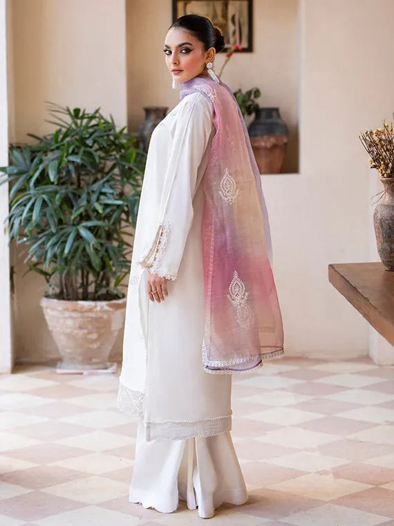 Arty 3PC Embroidered Lawn Collection 2025 by Sitara Textile (D-03)