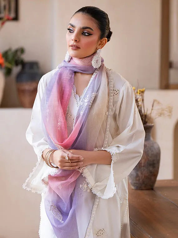 Arty 3PC Embroidered Lawn Collection 2025 by Sitara Textile (D-03)