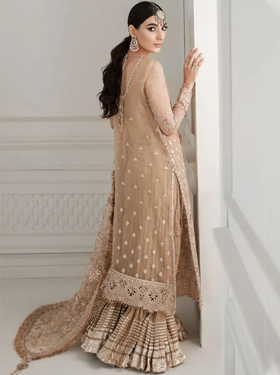 Baroque Chantelle Embroidered Net Collection 2025 (CH10-04)