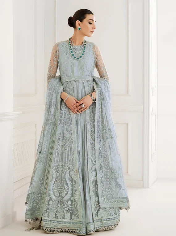 Baroque Chantelle Embroidered Net Collection 2025 (CH10-05)