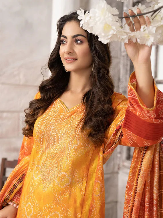 Bin Rafiq Printed Lawn Collection 2024 Vol-02 By Sitara Studio (D-2318)