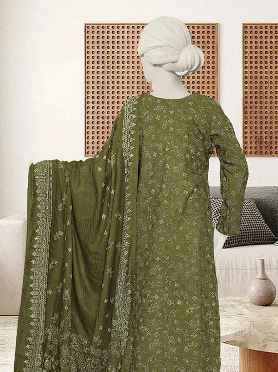 Bnory Printed Dhanak Collection 2025 by ABC (D-01)