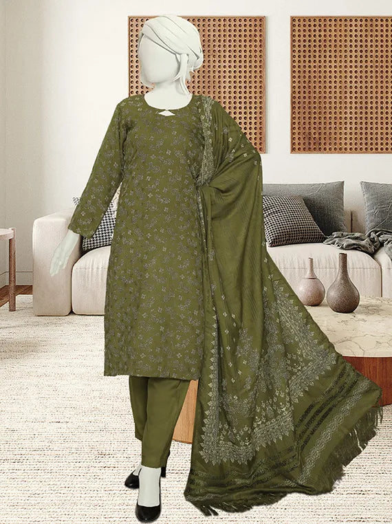 Bnory Printed Dhanak Collection 2025 by ABC (D-01)