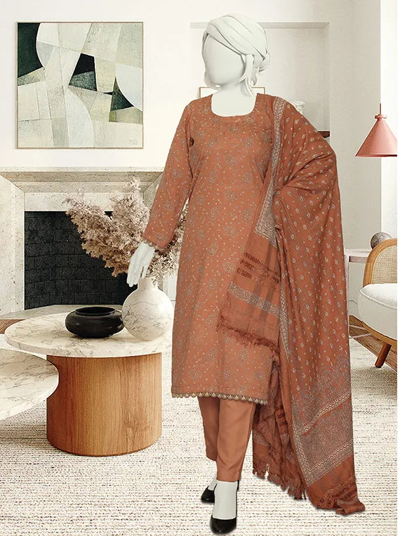 Bnory Printed Dhanak Collection 2025 by ABC (D-02)