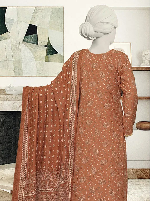 Bnory Printed Dhanak Collection 2025 by ABC (D-02)