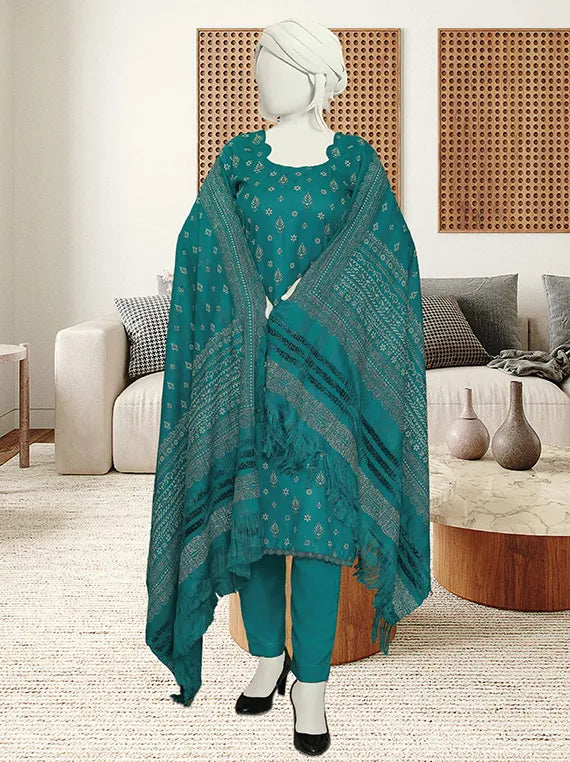 Bnory Printed Dhanak Collection 2025 by ABC (D-03)