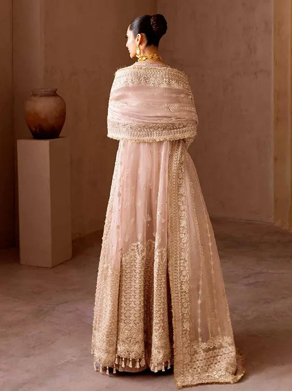 CLAY & COUTURE Organza Collection 2025 by Emaan Adeel (02-Celestial)