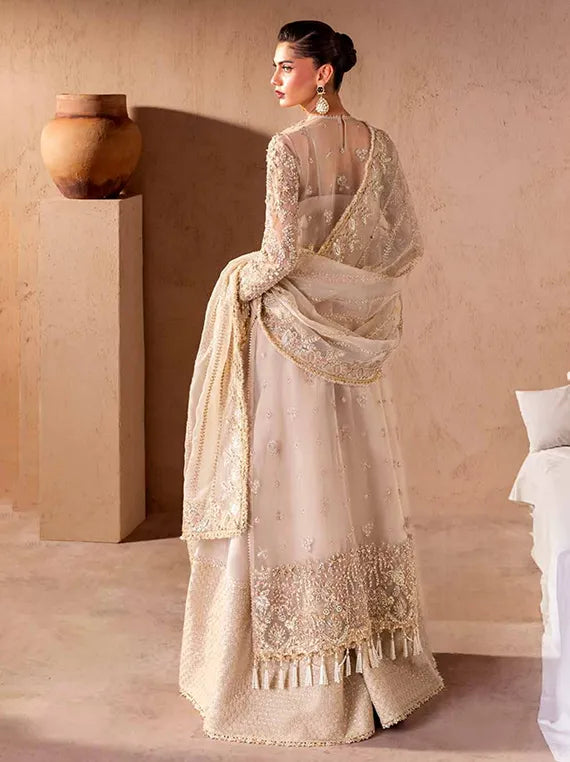 CLAY & COUTURE Organza Collection 2025 by Emaan Adeel (06-Malena)