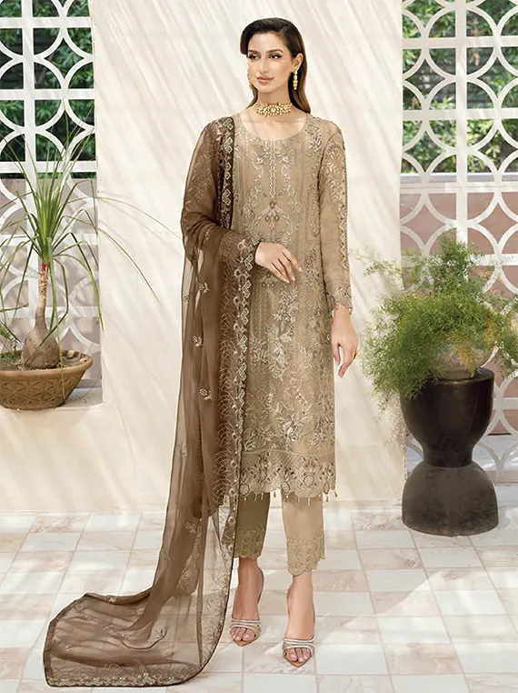 Chevron By Ramsha Chiffon Collection 2024 Vol-09 (A-904)