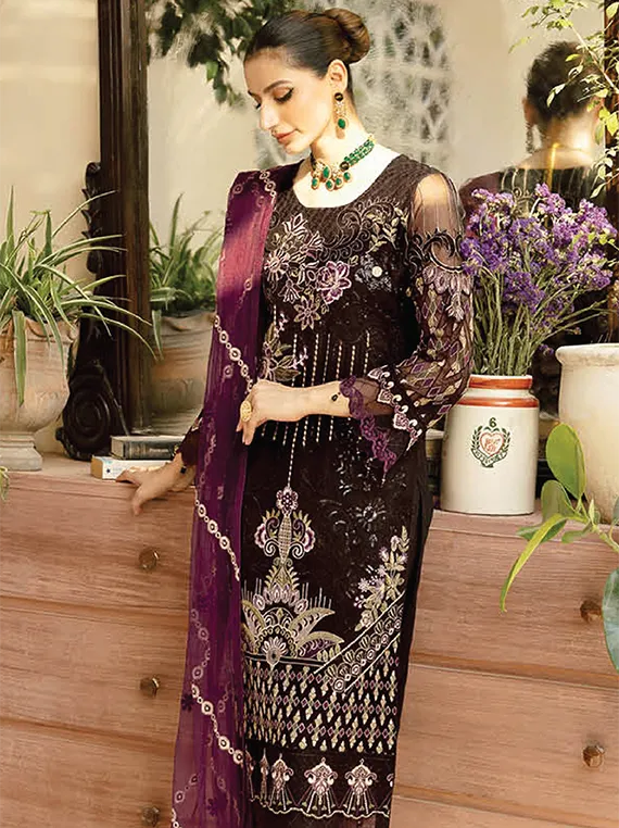 Chevron By Ramsha Chiffon Collection 2024 Vol-09 (A-905)