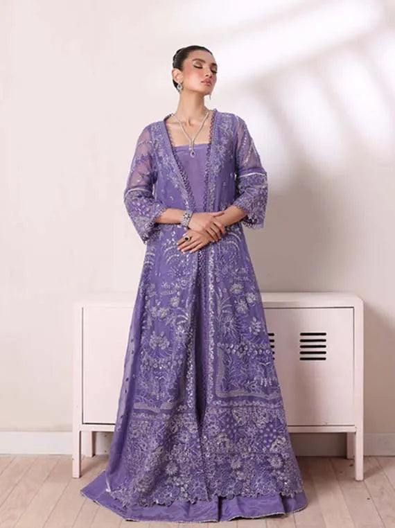 DE Luxe Chiffon Collaction 2024 By Noor Saadia Asad(D-02)