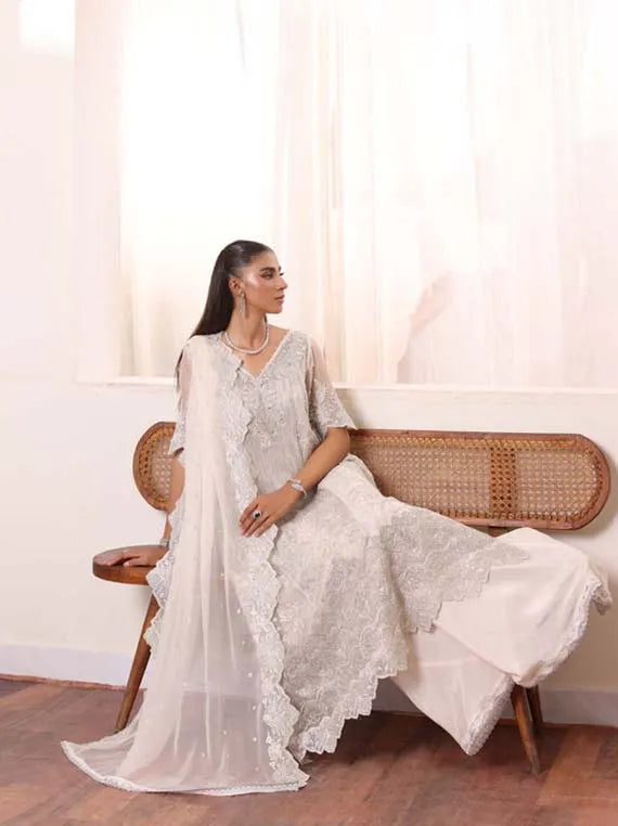 DE Luxe Chiffon Collaction 2024 By Noor Saadia Asad(D-05)