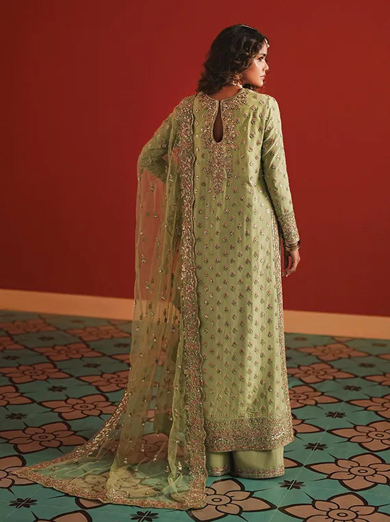 DIVANI by Afrozeh Embroidered Raw Silk Collection 2025 (AS-25-05)