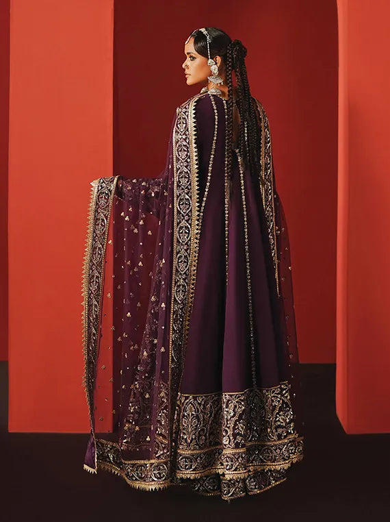 DIVANI by Afrozeh Embroidered Raw Silk Collection 2025 (AS-25-10)