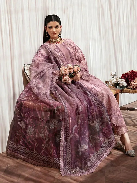 Dastan By Ramsha Chiffon Collection 2024 Vol-02 (T-203)
