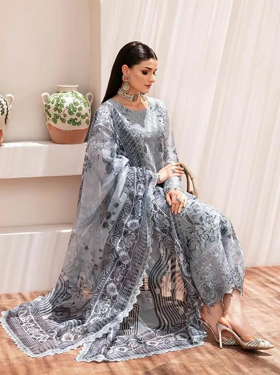 Dastan By Ramsha Chiffon Collection 2024 Vol-02 (T-209)