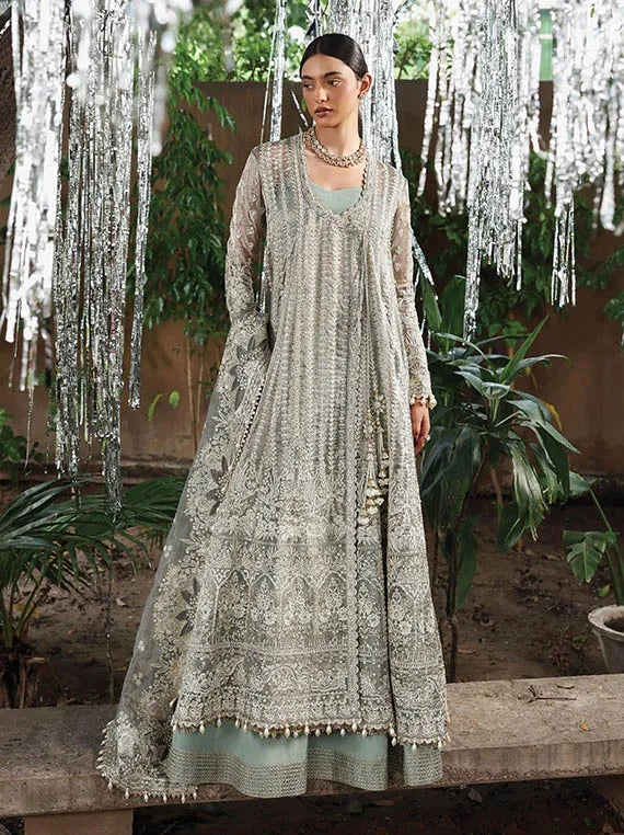Dastangoi by Afrozeh Exclusive Organza Collection 2025 (CANDLENIGHT)