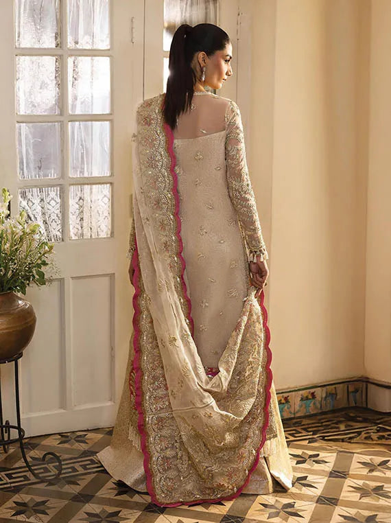 Dastangoi by Afrozeh Exclusive Organza Collection 2025 (SILKDAWN)