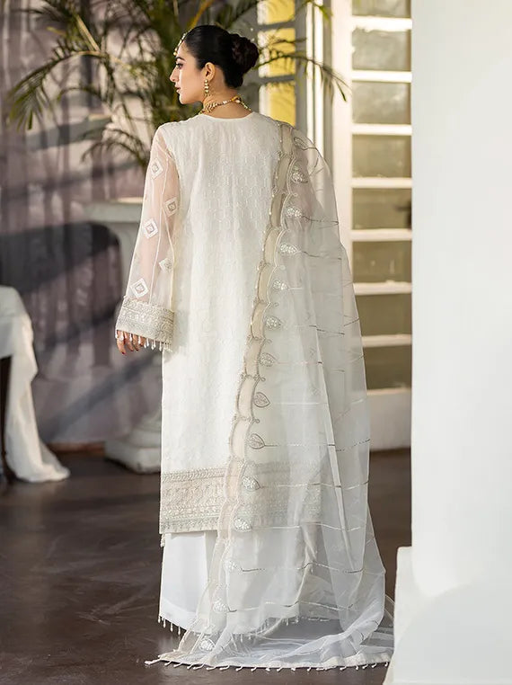 Dehleez Luxury Festive Collection 2025 By Raeesa Vol-03 (DL-1021)
