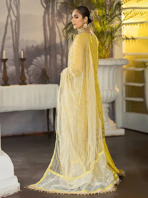 Dehleez Luxury Festive Collection 2025 By Raeesa Vol-03 (DL-1026)  Umar  Poshak Mehal  Pakistani Designers Suits Biggest Range