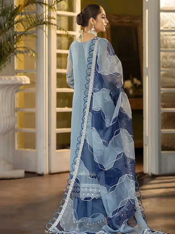 Dehleez Luxury Festive Collection 2025 By Raeesa Vol-03 (DL-1028)