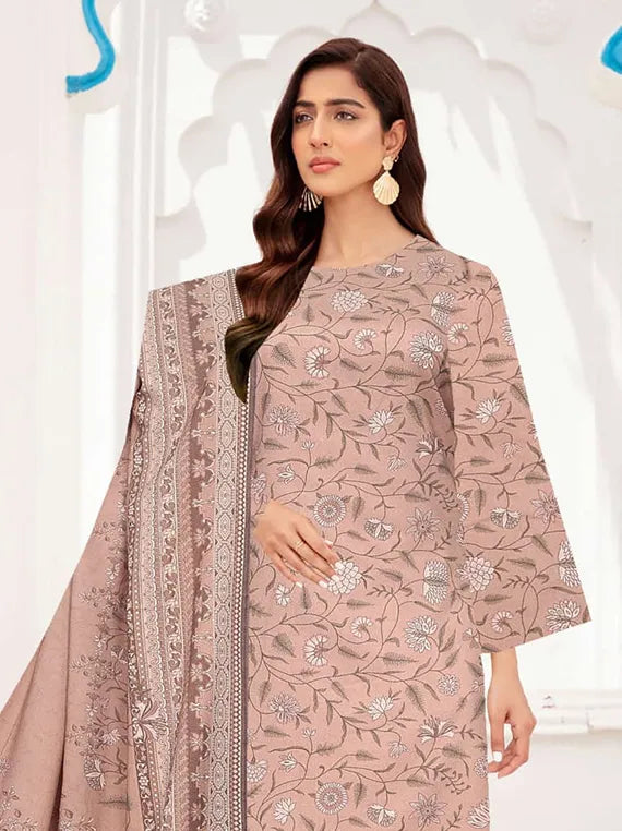 Digital Printed Dhanak Collection 2024 By Bin Rashid Vol-22 (D-01)